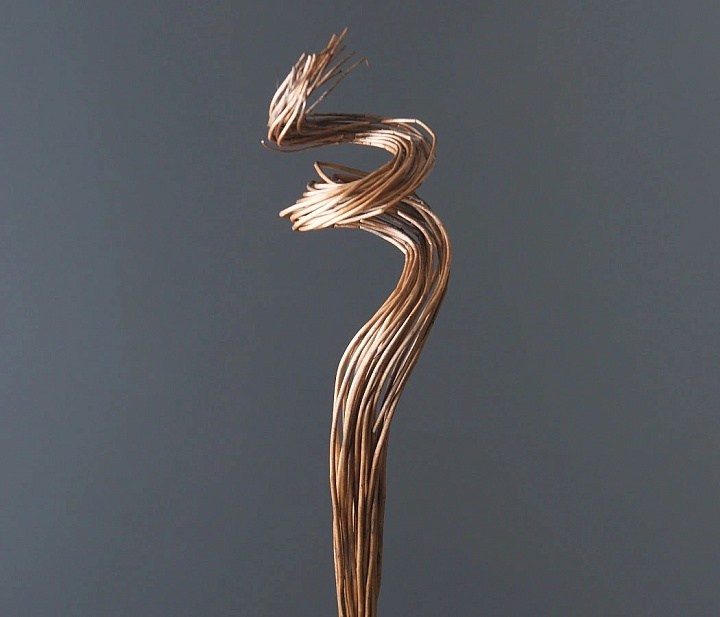 Тинг-тинг сухоцвет h40см 20шт кофейный