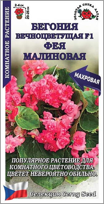 Бегония цветущая Фея Малиновая 5шт /ЗС