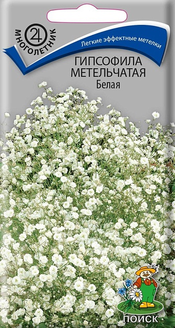 Гипсофила метельчатая Белая 0,2г /Поиск