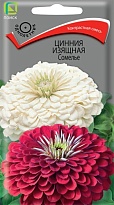 Цинния изящная Сомелье 0,4г /Поиск