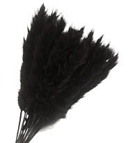 Камыш сухоцвет 15шт черный