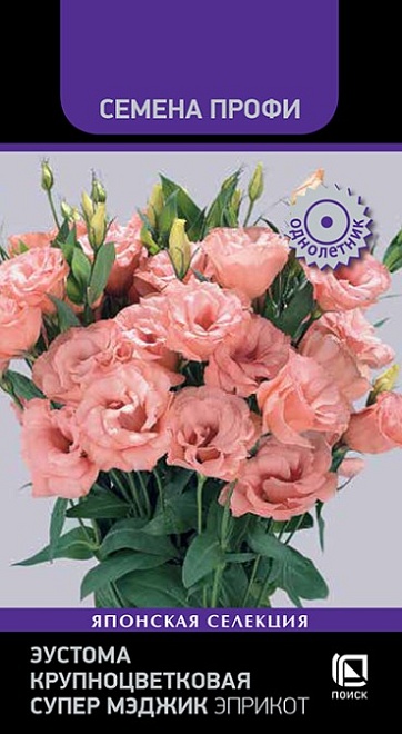 Эустома (Лизиантус) Супер Мэджик Эприкот 5шт /Поиск