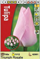 Тюльпан Розали триумф 11/12 3шт в сетке